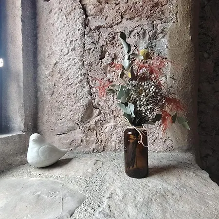 Tilleul - Parenthese Nature Au Coeur Du Larzac Apartament *